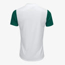 Camisa Puma Palmeiras 2025/26 II Jogador